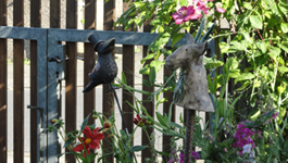 Webdesign vom Buchholz in Mengerskirchen